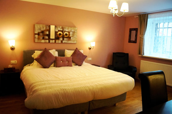 Newly renovated! En-suite shower/toilet. Flat screen TV, a work station and free  Beautiful Suite in EU Center ONLY Kitchen Shared Private room in home vacation rental 9885388