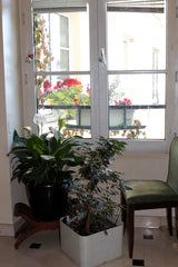 <b>The space</b><br />Bel appartement central près des galeries Lafayette et de  Paris, France centre Paris - Trinité - Opera Entire rental unit vacation rental 1277315