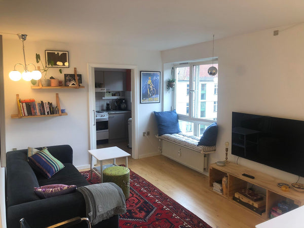 Cozy apartment close to parks, bars and citycenter Entire rental unit vacation rental 625851754552144149