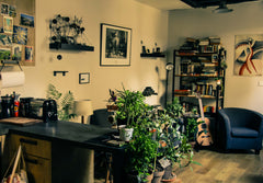 Sunny, calm, 1st floor apartment (34m²) with cosy living room and open kitchen,  Paris, France Bright, comfortable apartment in lovely area Entire rental unit vacation rental 5923035