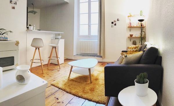 Appartement cosy de 35m2 situé en plein centre de Bordeaux, dans le quartier de  Bordeaux, France T2 cosy plein centre de Bordeaux Entire rental unit vacation rental 31785553