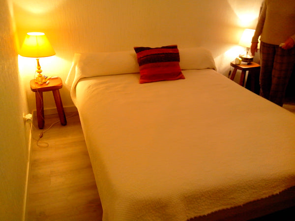 A l'occasion de la fête des LUMIÉRES, nous louons notre appartement<br />Quartie Lyon, France Immeuble moderne avec parking privé Entire rental unit vacation rental 9057021