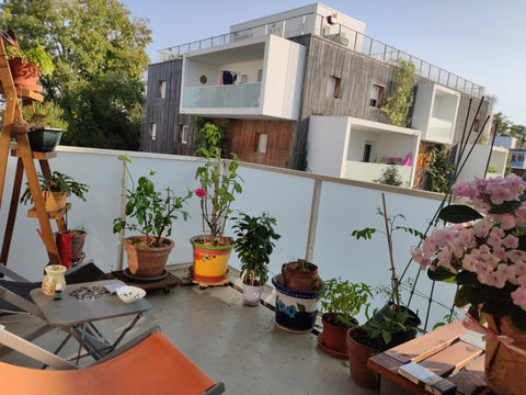 Big apartment fully equipped with private bedroom, electric BBQ, Dyson vacuum cl Pessac, France Charming apartment, quiet & accessible with loggia Entire rental unit vacation rental 45778621