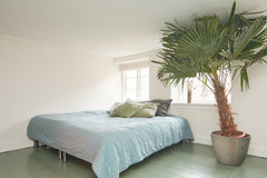 Unique boutique interior design, charming apartment with kitchen, dining room, a Copenhagen, Denmark Charming unique apartment - CENTER of Copenhagen Entire rental unit vacation rental 40502029