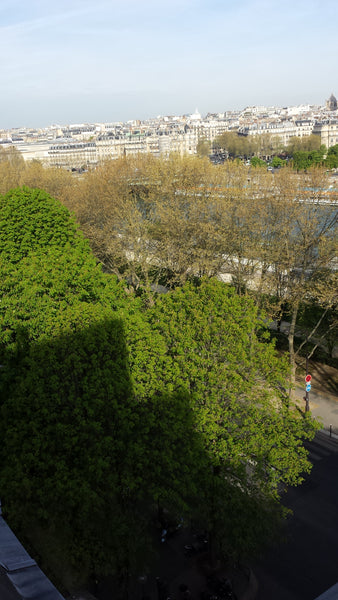 Studio for rent (13m2) with a private SHARED bathroom (8m2)  in the same floor.< Paris, France STUDIO WITH NICE VIEW Private room in rental unit vacation rental 3989931