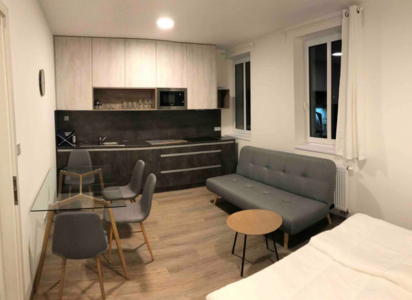 We are offering studio apartment  with sofa and fully equipped kitchen corner. T Prague, Czechia Harfa Studio #2 Entire rental unit vacation rental 30950434