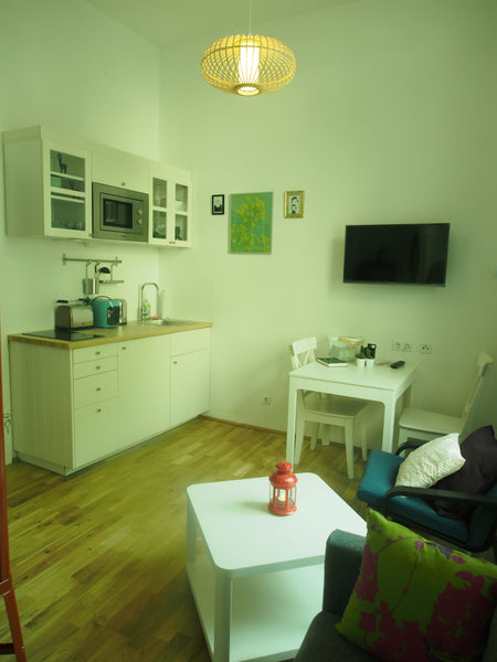 Apartment - barrierefrei - im EG, Nähe Naschmarkt und Zentrum<br /><br /><b>The  Vienna, Austria 1050 Wien, Nähe Naschmarkt, barrierefrei Entire rental unit vacation rental 33838895