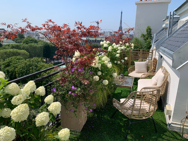Royal Suite Deluxe fully renovated <br />On Champs Elysées Avenue<br />with Priv Paris, France Rooftop Champs Elysées with unbelievable view Entire rental unit vacation rental 2892435