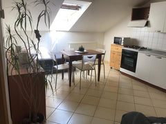 Útulný podkrovní byt v centru Prahy nedaleko břehu řeky Vltavy.  Apartmán  Náplavka Entire rental unit vacation rental 36273389