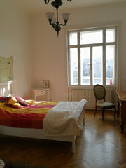 Freundliche helle große Altbauwohnung im 4. Liftstock in wunderschönem altem Sti Vienna, Austria light flooded City apartment (U3) Private room in condo vacation rental 23462287