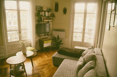 Bienvenue chez nous!<br />On est un jeune couple fans de culture, de sorties et  Lyon, France Cocon cool et cosy, sur les quais! Entire rental unit vacation rental 12277250