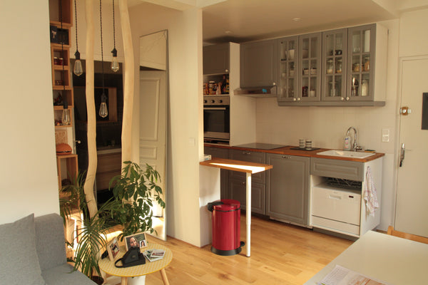 Situé entre les Buttes Chaumont et le Canal de l’Ourcq, ainsi qu’à une petite di Paris, France Peaceful flat between park and canal Entire rental unit vacation rental 16111090