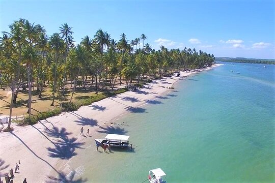 Private Transfer from Recife Airport to Praia dos Carneiros  Private Tours and Travel Guide America Recife CITY Recife Destination Tour