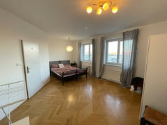 Beautiful bright and silent room in a huge maisonette flat-share in Prague/Letna Prague, Czechia Big flatshare room in Letna with private bathroom Private room in rental unit vacation rental 1261171