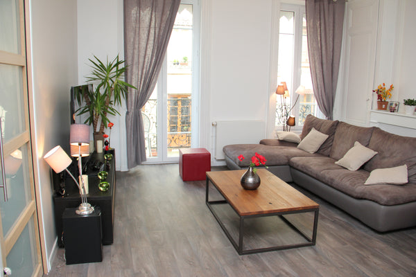 Appartement refait à neuf, très cosy et fonctionnel. Idéalement situé, à 10mn de Lyon, France Appartement proche Cordeliers et métro Foch Entire rental unit vacation rental 38817284