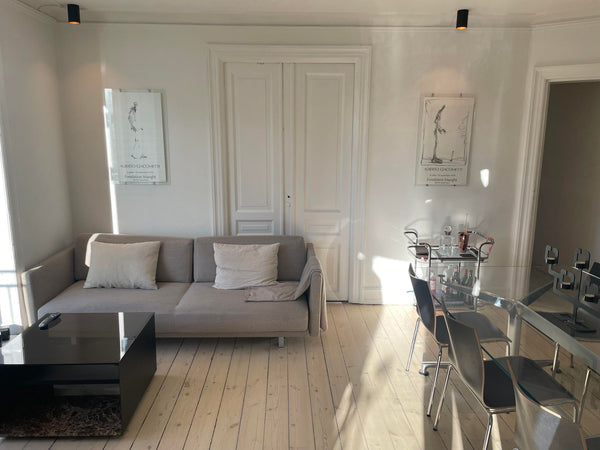 Well lit 3-room apartment, situated on the third floor, in the center of Copenha Copenhagen, Denmark Spacious apartment in the center of Copenhagen. Entire condo vacation rental 541893338699544336