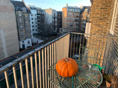 The appartment  is on the 4th floor and there is an elevator. The balcony is fac Copenhagen, Denmark Charming  bright center; walking to museums Entire rental unit vacation rental 26466844
