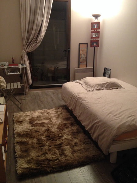 A private and very quiet room exposed ouest side with balcony on back yard. SDB  Paris, France Flat few blocks from Eiffel Tower Private room in rental unit vacation rental 3546528