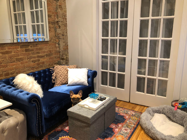 New York, NY Rental unit in New York · Studio · 1 bed · 1 bath Entire rental unit vacation rental 40028007