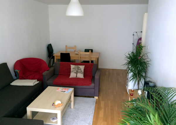 T2 spacious 1 room apartment of 60 m² comprising lounge, kitchen, bathroom overl Lyon, France Spacious & bright apartment Entire rental unit vacation rental 12140622