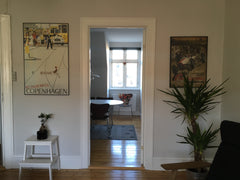 Bright and cosy 3 room flat in the heart of peaceful Frederiksberg. Perfect for  Frederiksberg, Denmark ★ Your happy place in CPH ★ Cosy & spacious flat ★ Entire condo vacation rental 22082408