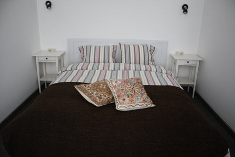 A few steps from Manneken Pis and the well-known Grand Place de Bruxelles, a spl Brussels, Belgium Guesthouse apartment Entire rental unit vacation rental 2920051