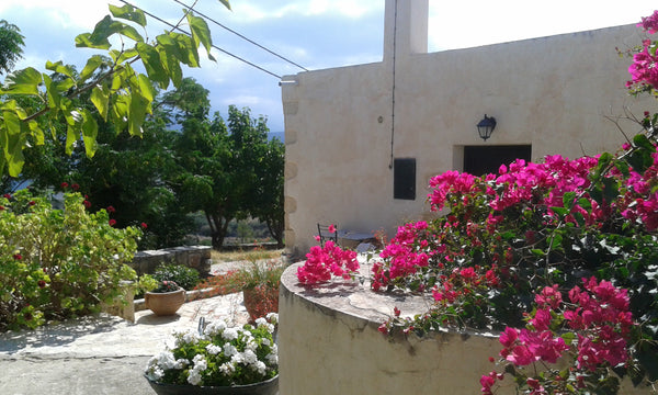 A small heaven on earth at historical Aptera village in a distance of 10 minutes Chania, Greece Petra & Elia traditional house Entire home vacation rental 8203439