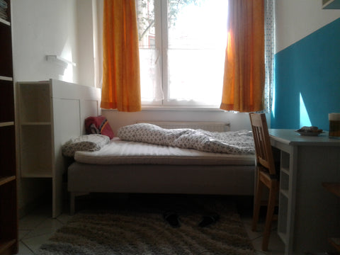 A cosy room in an appartment, occupied by two openminded chefs, who don't mind s Vienna, Austria Cosy room near the city center Private room in rental unit vacation rental 20793780