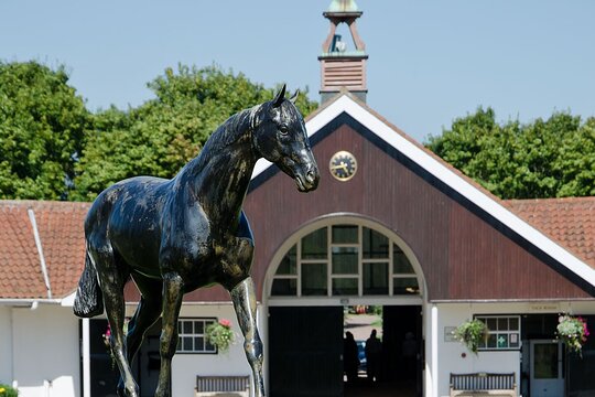 Guided Half Day Behind the Scenes Newmarket Tour  Private Tours and Travel Guide Europe London CITY Cambridge Destination Tour