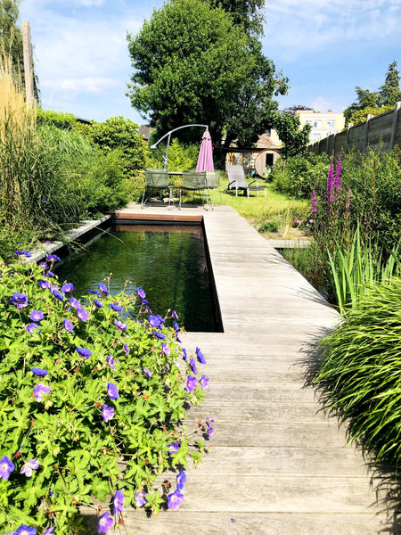Recent gerenoveerde woning met alle comfort: twee badkamers met bad en douche. M Ghent, Belgium Trendy huis Gent met privé zwemvijver&sauna Entire townhouse vacation rental 35801220