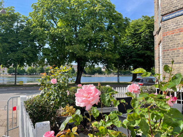 Our perfect placed apartment in Kartoffelrækkerne in the heart of Copenhagen has Copenhagen, Denmark In the heart of Copenhagen Entire rental unit vacation rental 11606423