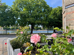 Our perfect placed apartment in Kartoffelrækkerne in the heart of Copenhagen has Copenhagen, Denmark In the heart of Copenhagen Entire rental unit vacation rental 11606423