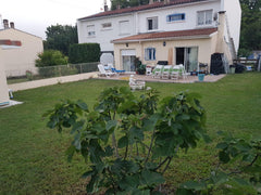 Une agréable maison à Bordeaux (Villenave d'Ornon) avec un grand terrain et une  Bordeaux, France Maison à Bordeaux 2 Private room in townhouse vacation rental 29901798