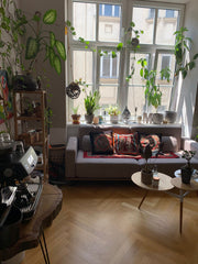 The apartment is fully furnished and has everything you need. It is located in t Vienna, Austria Beautiful apartment in the centre of Vienna Entire rental unit vacation rental 656278071654467493