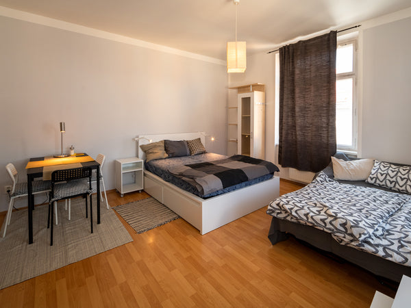 Samostatný byt má jeden pokoj s kuchyňskou linkou, dvoulůžkem a rozkládací pohov Benešov, Czechia Pohodlný byt v Praze 8, Libni Entire rental unit vacation rental 659242398129357671