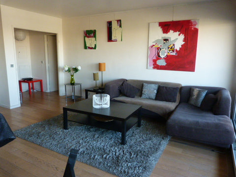 <b>The space</b><br />Superb contemporary apartment on the 5th floor in the Fron Paris, France Paris River Seine Entire rental unit vacation rental 971675