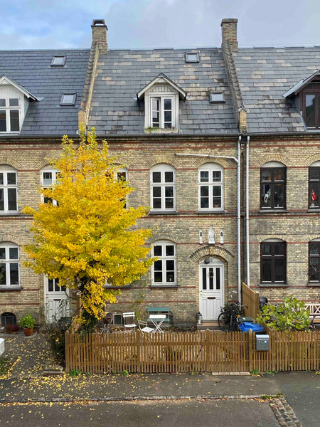 Charmerende byhus med plads til familien! <br />Beliggende centralt, men på en s Copenhagen, Denmark Charmerende byhus med gårdhave Entire townhouse vacation rental 649688067262168990