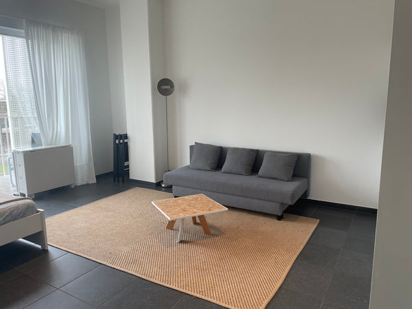 Large luminous studio apartment with floor to ceiling windows and a big open pat Brussels, Belgium Large luminous studio with spacious patio Entire rental unit vacation rental 558580823225104930