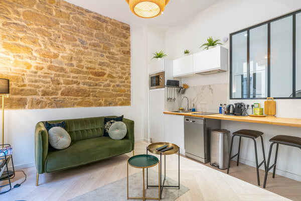 En plein cœur du centre ville, vous vous retrouverez dans la célèbre rue Pd Edou Lyon, France Plein centre, Place des Terreaux, Edouard Herriot Entire rental unit vacation rental 39320725