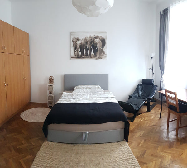 This big and bright room consists of a comfortable bed, an armchair, 2 big cupbo Vienna, Austria WG-Zimmer 