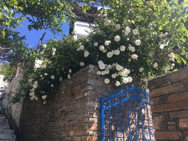 Villa Mina<br />Το σπίτι ειναι νεόκτιστο και έχει κυκλαδίτικη αρχιτεκτονική, με  Athens, Greece Unique Traditional Cycladic Stone House Cycladic home vacation rental 35605341