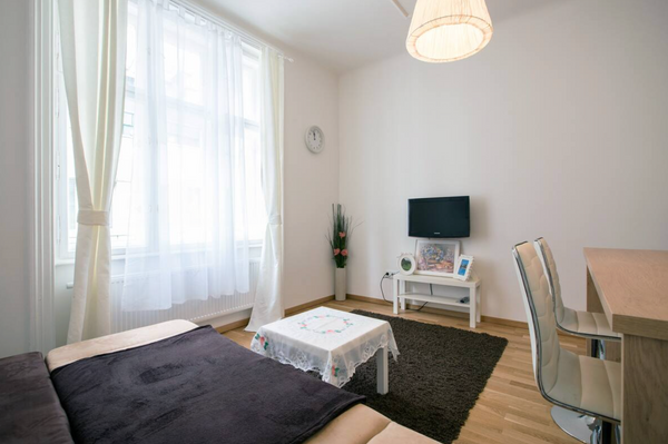 Cosy apartment located in the heart of Vienna -right in the Stephansplatz. It co  Cosy Apartment in the city centre of Vienna Entire condo vacation rental 679445387297834630