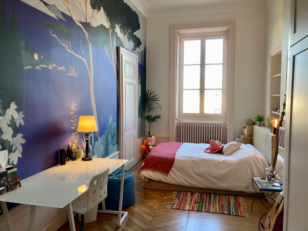 Chambre privée au sein d’un vaste appartement de charme situé face au Rhône et a Lyon, France Chambre avec vue sur le Rhône Private room in rental unit vacation rental 729536095552531054