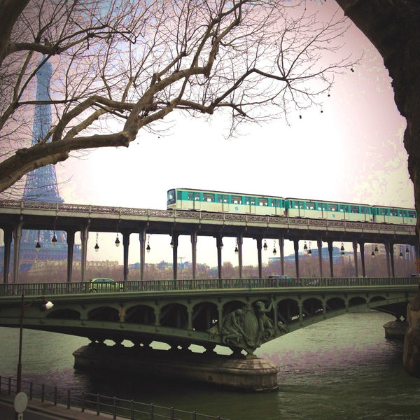 EIFFEL TOWER (500m), Roland GARROS (15min by direct bus), Trocadero<br />Beautif Cachan, France EIFFEL TOWER - Passy- DISCREET and LUXURIOUS 35m2 Entire rental unit vacation rental 10222326
