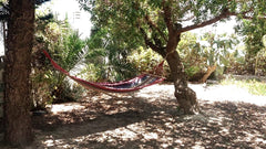 The house is a welcoming ground floor house, surrounded by a courtyard and garde Heraklion, Greece Garden House, near Sea and City Entire cottage vacation rental 27560732