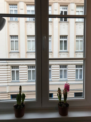 LOCATION:<br />- At the heart of Vienna. The old city is walkable <br />- Perfec Vienna, Austria At the City center room with shower, sink Private room in rental unit vacation rental 203691