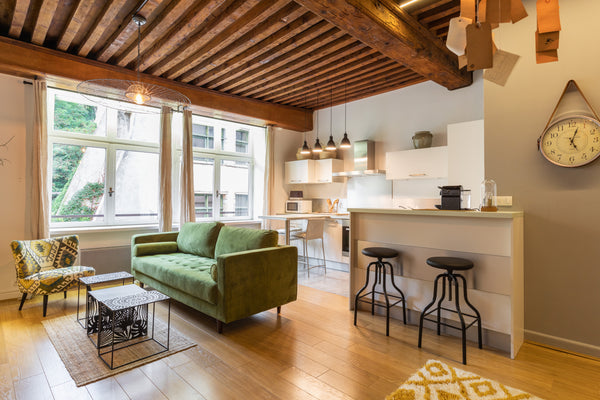 Appartement charmant et intégralement rénové en 2019. <br /><br />Confortable et  Appartement déco et cosy au cœur du vieux Lyon Entire rental unit vacation rental 36630206