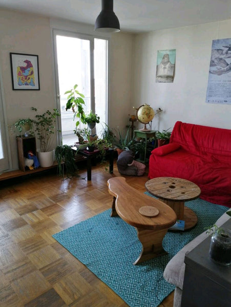 Grand appartement idéalement situé dans le 3eme arrondissement - Lyon Part Dieu. Lyon, France Chambre privative avec Balcon | Lyon Part Dieu Private room in rental unit vacation rental 551486034417546892