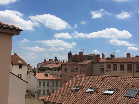 Appartement fonctionnel et lumineux, proche de toutes les commodités, avec une c Lyon, France Canut au cœur de Croix Rousse Entire rental unit vacation rental 13739443