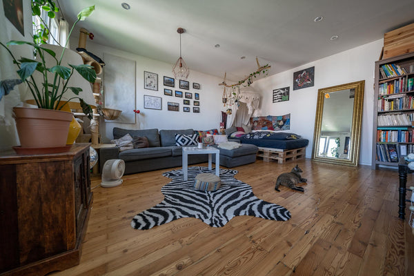 Meine kleine, aber feine Einzimmerwohnung ist mit vielen persönlichen Dingen bes Vienna, Austria Villa Kunterbunt Entire rental unit vacation rental 51118106